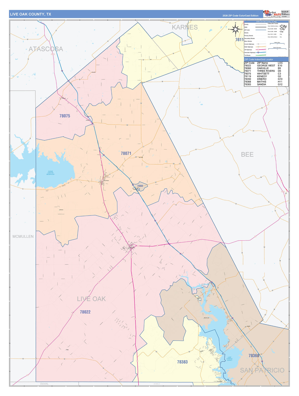 Live Oak County, TX Colorcast Style Wall Map