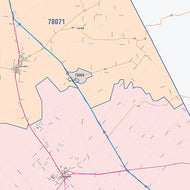Live Oak County, TX Colorcast Style Wall Map