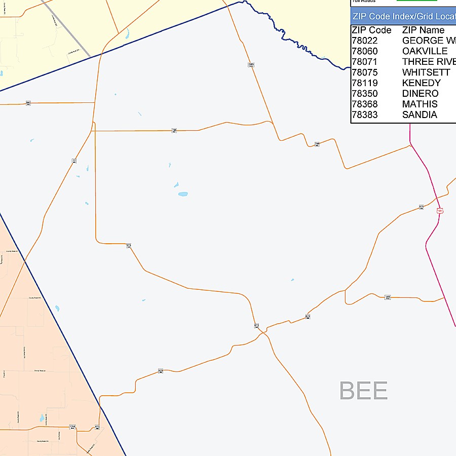 Live Oak County, TX Colorcast Style Wall Map