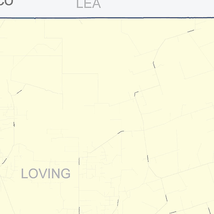 Loving County, TX Colorcast Style Wall Map