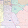 Lubbock County, TX Colorcast Style Wall Map