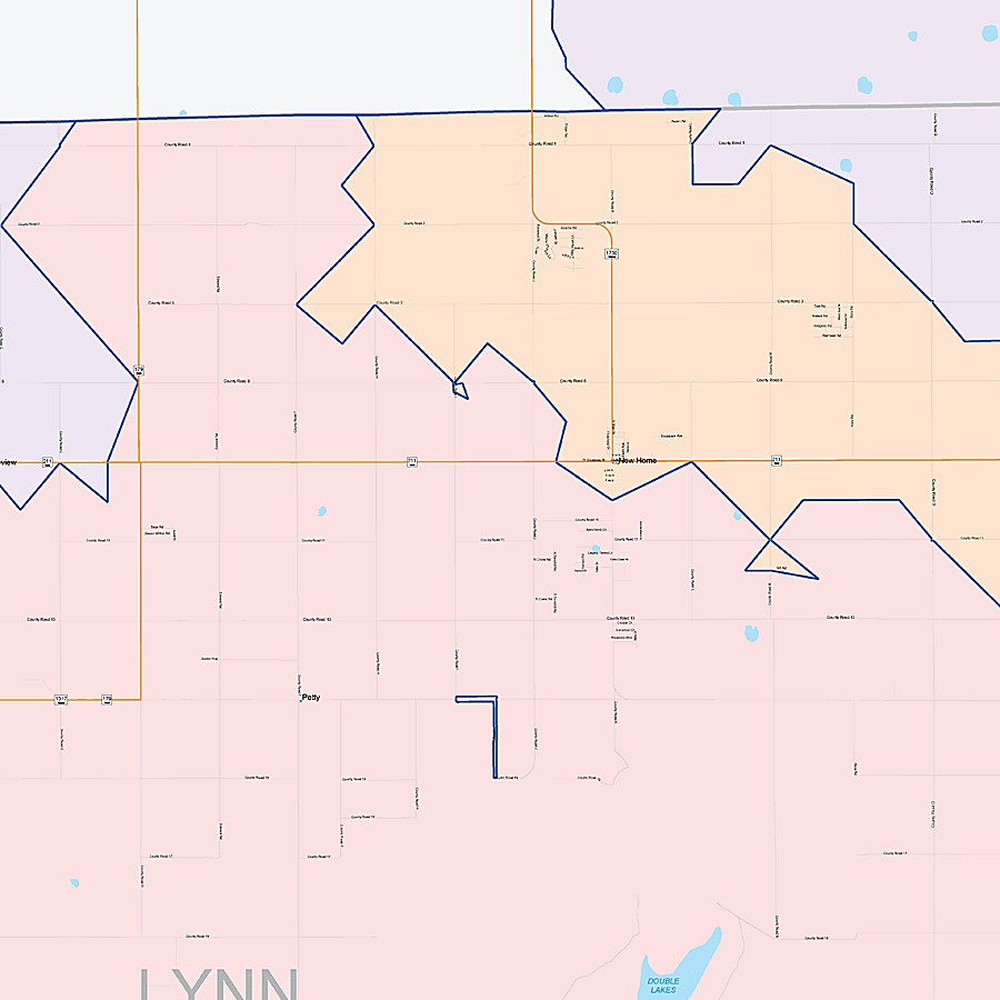 Lynn County, TX Colorcast Style Wall Map