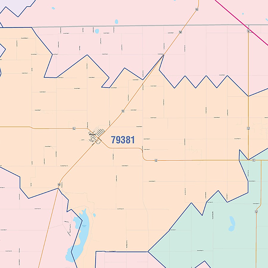 Lynn County, TX Colorcast Style Wall Map