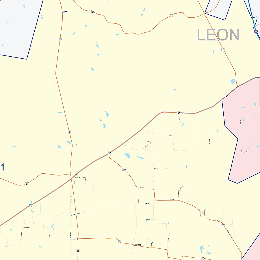 Madison County, TX Colorcast Style Wall Map