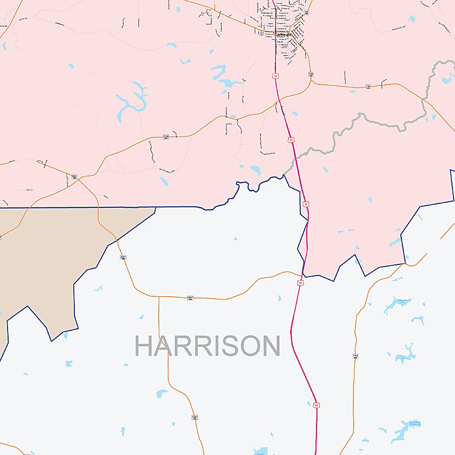 Marion County, TX Colorcast Style Wall Map