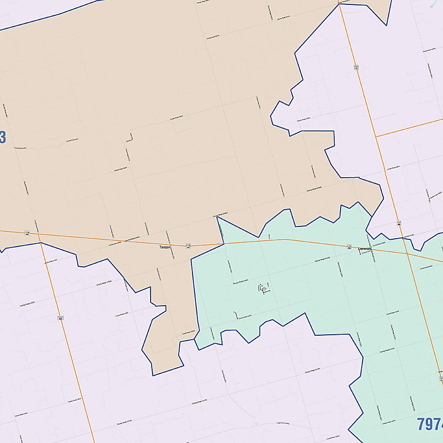 Martin County, TX Colorcast Style Wall Map