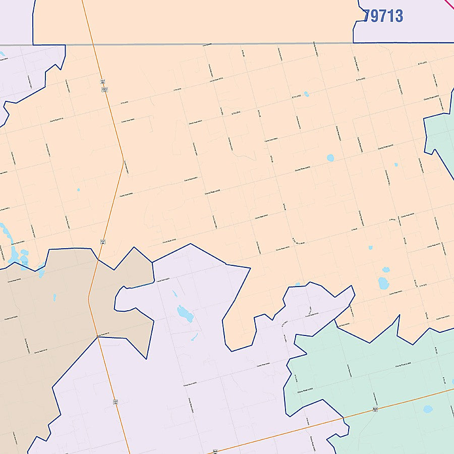 Martin County, TX Colorcast Style Wall Map