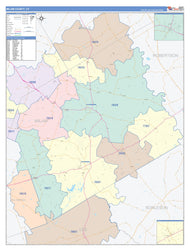 Milam County, TX Colorcast Style Wall Map
