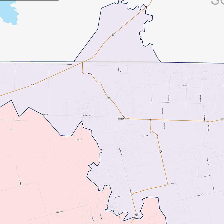 Mitchell County, TX Colorcast Style Wall Map