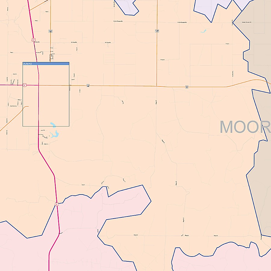 Moore County, TX Colorcast Style Wall Map