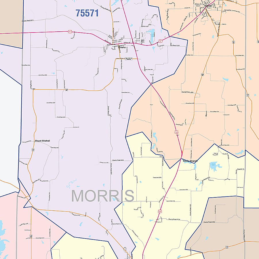 Morris County, TX Colorcast Style Wall Map