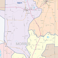 Morris County, TX Colorcast Style Wall Map