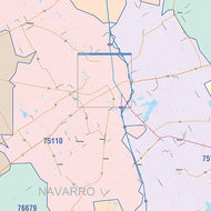 Navarro County, TX Colorcast Style Wall Map
