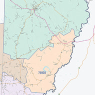 Newton County, TX Colorcast Style Wall Map