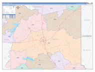 Panola County, TX Colorcast Style Wall Map