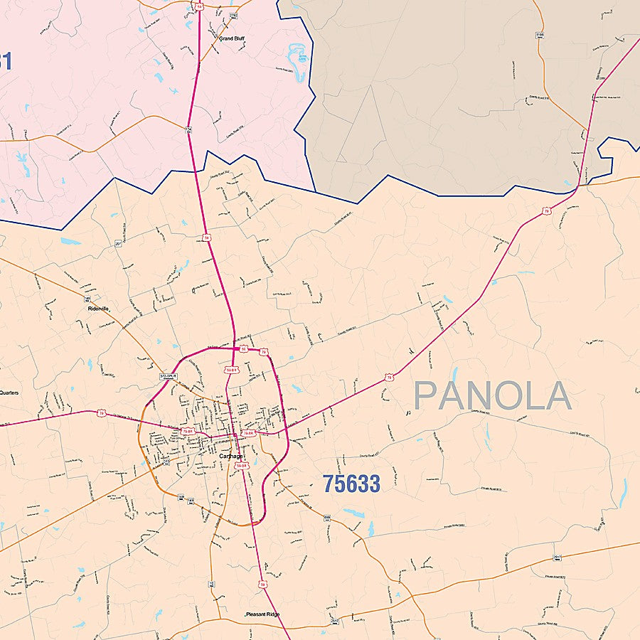 Panola County, TX Colorcast Style Wall Map