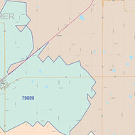 Parmer County, TX Colorcast Style Wall Map