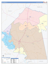 Polk County, TX Colorcast Style Wall Map