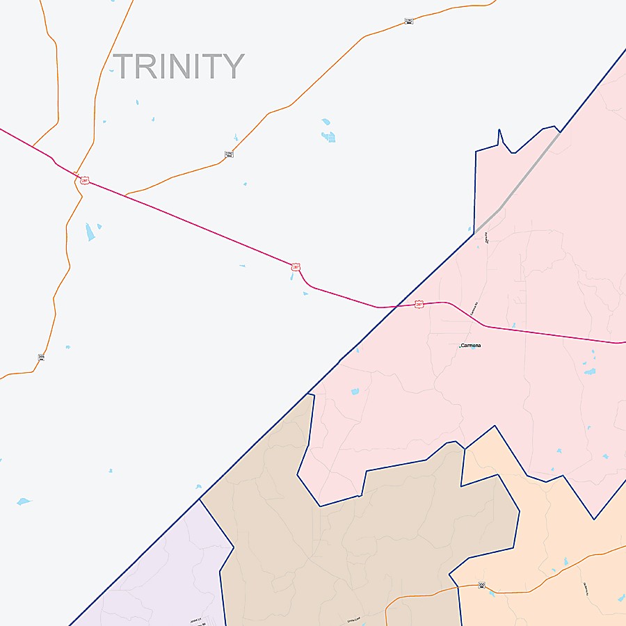 Polk County, TX Colorcast Style Wall Map