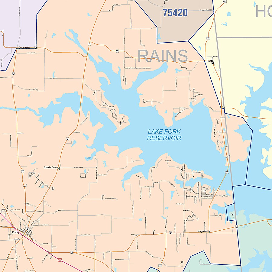 Rains County, TX Colorcast Style Wall Map