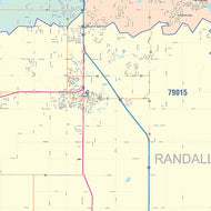 Randall County, TX Colorcast Style Wall Map