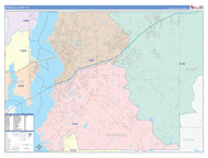 Rockwall County, TX Colorcast Style Wall Map