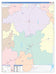 Runnels County, TX Colorcast Style Wall Map