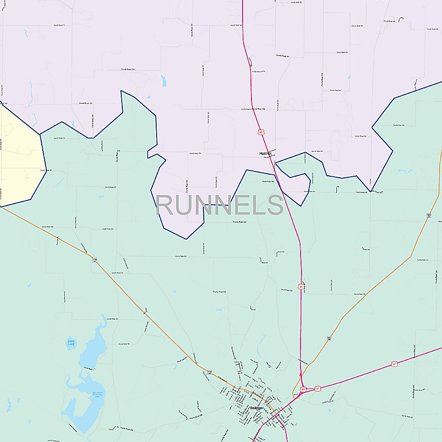Runnels County, TX Colorcast Style Wall Map