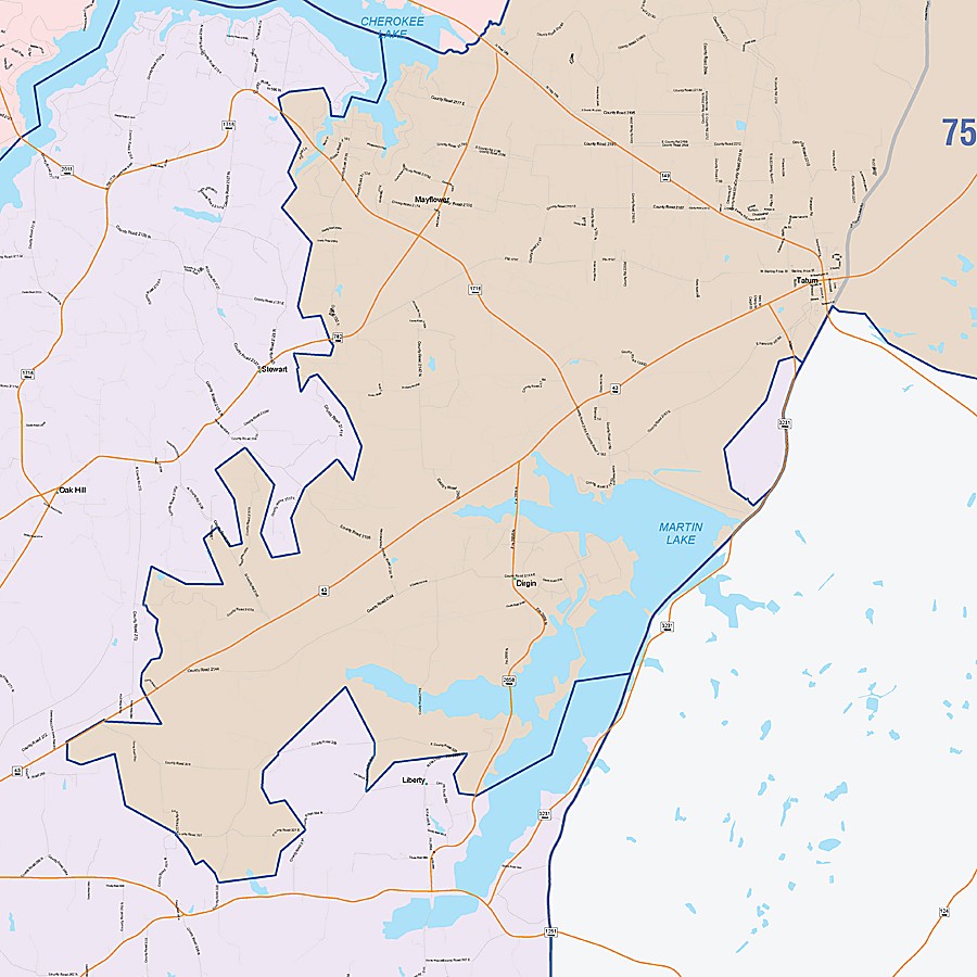 Rusk County, TX Colorcast Style Wall Map