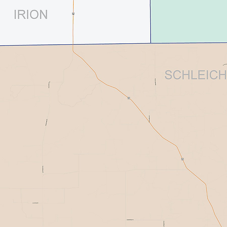 Schleicher County, TX Colorcast Style Wall Map