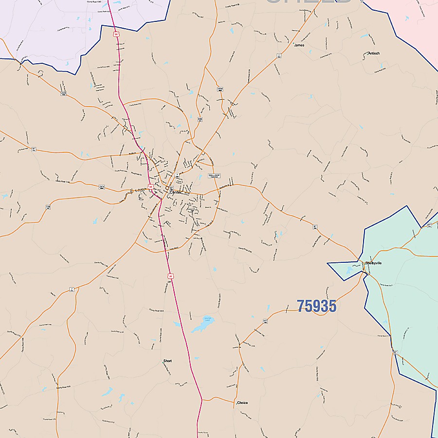 Shelby County, TX Colorcast Style Wall Map
