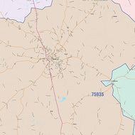 Shelby County, TX Colorcast Style Wall Map