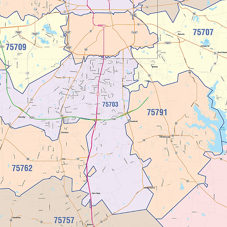 Smith County, TX Colorcast Style Wall Map