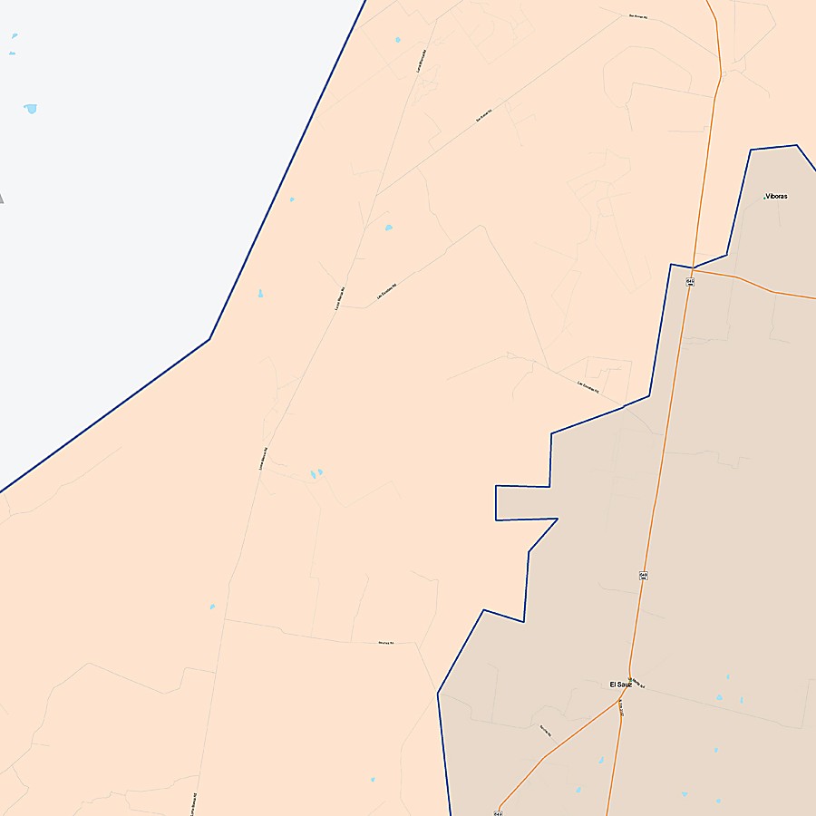 Starr County, TX Colorcast Style Wall Map