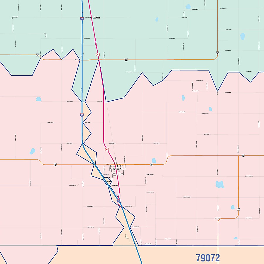 Swisher County, TX Colorcast Style Wall Map