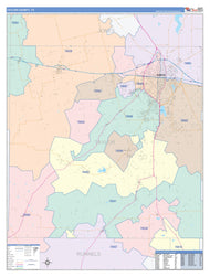 Taylor County, TX Colorcast Style Wall Map