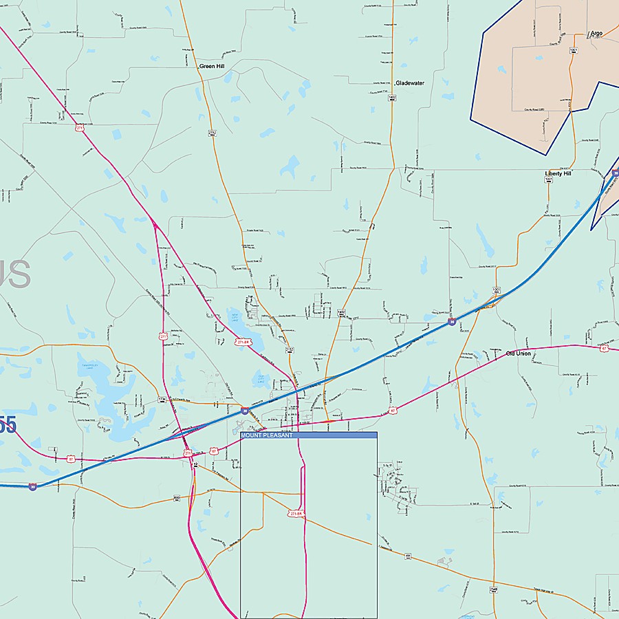 Titus County, TX Colorcast Style Wall Map