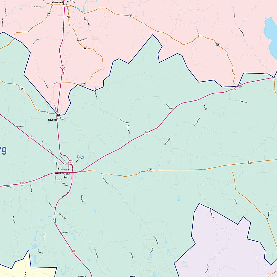 Tyler County, TX Colorcast Style Wall Map