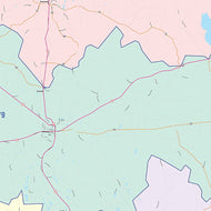 Tyler County, TX Colorcast Style Wall Map