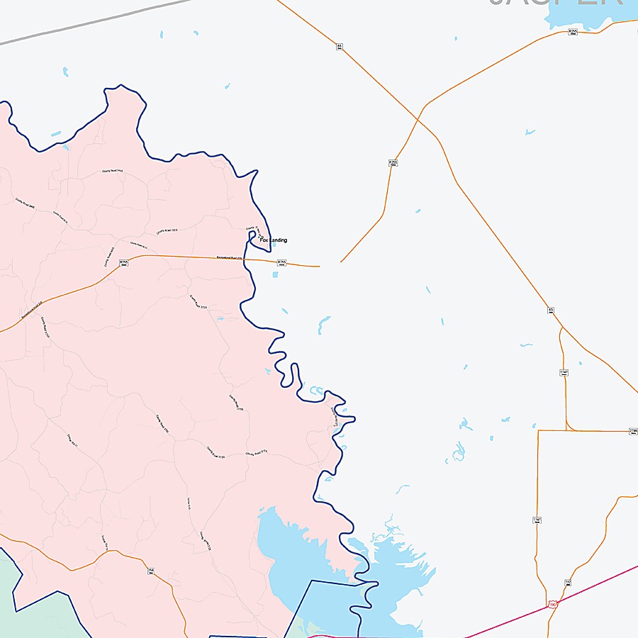 Tyler County, TX Colorcast Style Wall Map
