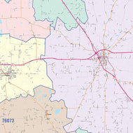 Wise County, TX Colorcast Style Wall Map