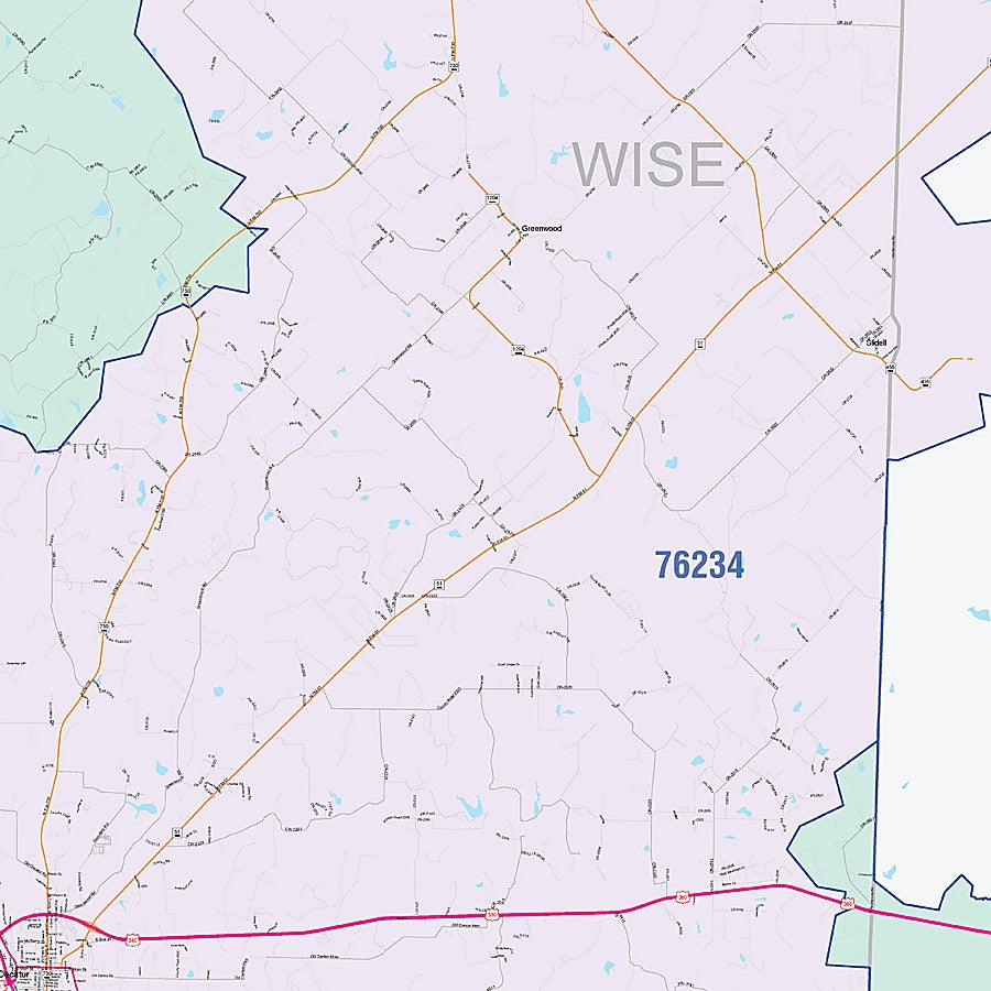 Wise County, TX Colorcast Style Wall Map