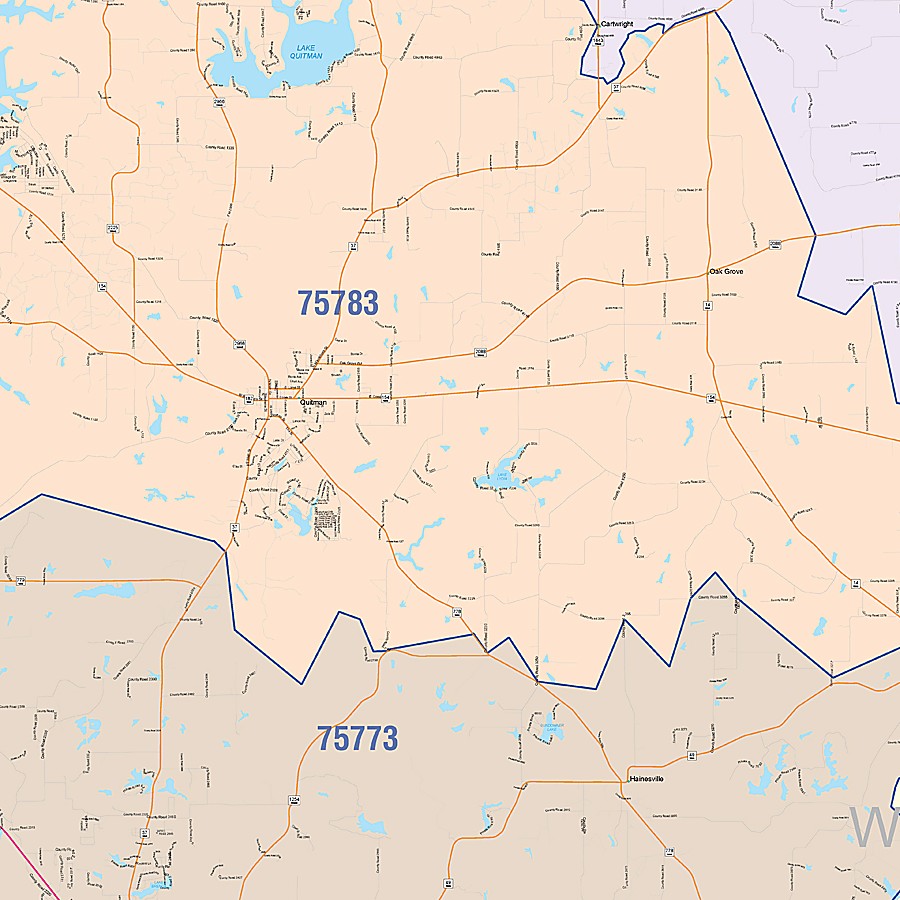 Wood County, TX Colorcast Style Wall Map