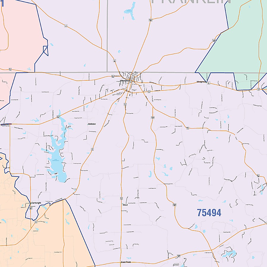 Wood County, TX Colorcast Style Wall Map