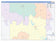 Young County, TX Colorcast Style Wall Map
