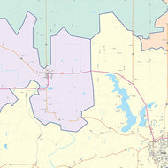 Young County, TX Colorcast Style Wall Map