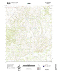 US Topo 7.5-minute map for China Canyon TX
