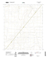 US Topo 7.5-minute map for Coyanosa NW TX