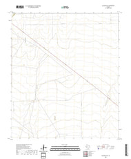 US Topo 7.5-minute map for Coyanosa SW TX