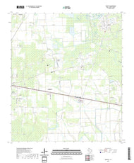 US Topo 7.5-minute map for Daisetta TX